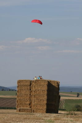 IMG 5946